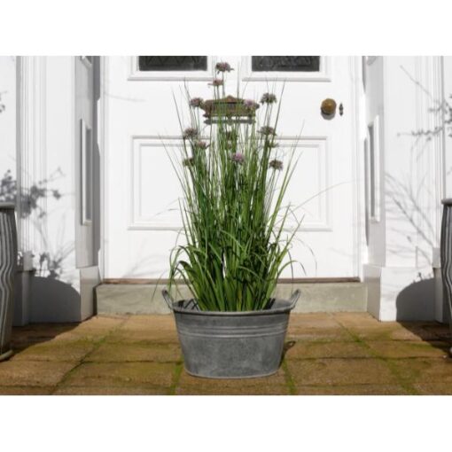 Planter D9827(4)