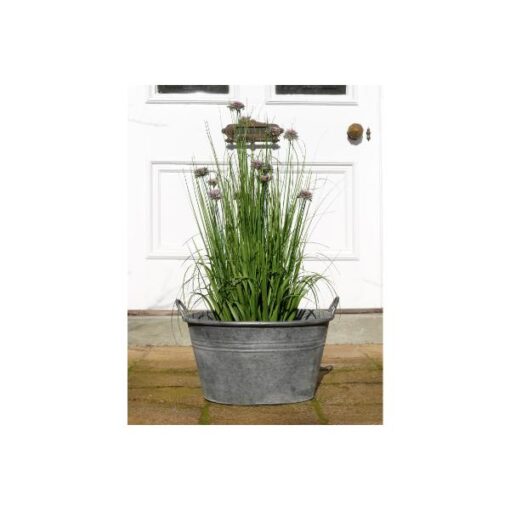 Planter D9828(1)