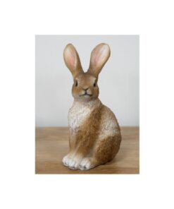 Rabbit D11163(1)