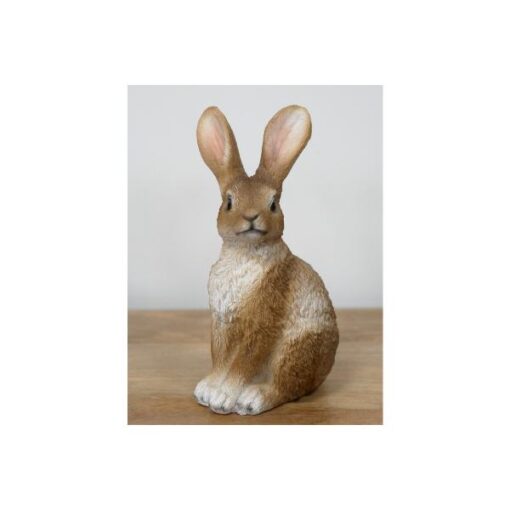 Rabbit D11163(1)