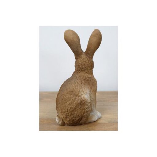 Rabbit D11163(2)