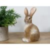 Rabbit D11163(3)