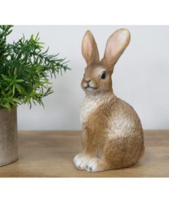 Rabbit D11163(3)