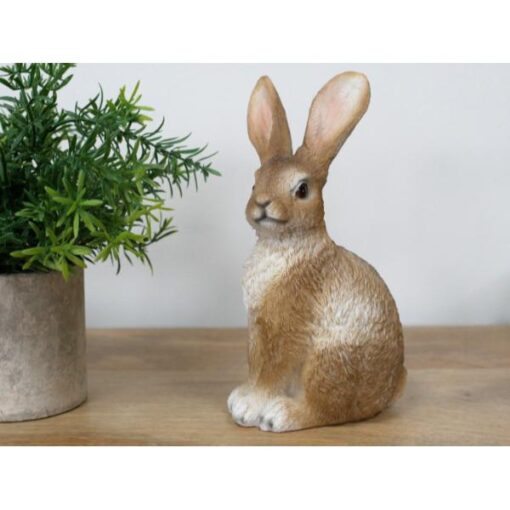 Rabbit D11163(3)