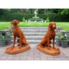 Rusty Pair of Gun Dogs D8839 (1)