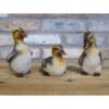 Set of 3x Ducks D9674(3)