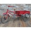 Tricycle D9284(4)