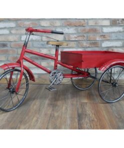 Tricycle D9284(4)