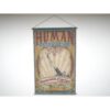 Cannonball Banner D10659