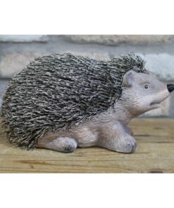 Hedgehog D8461(5)