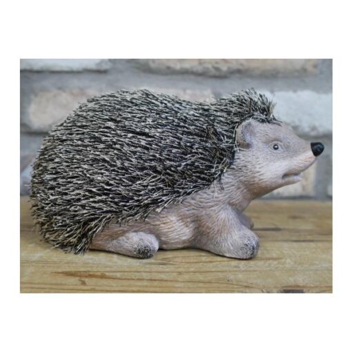 Hedgehog D8461(5)