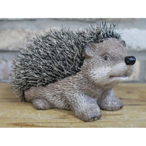 Hedgehog D8461(6)