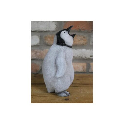 Penguin D8504(3)
