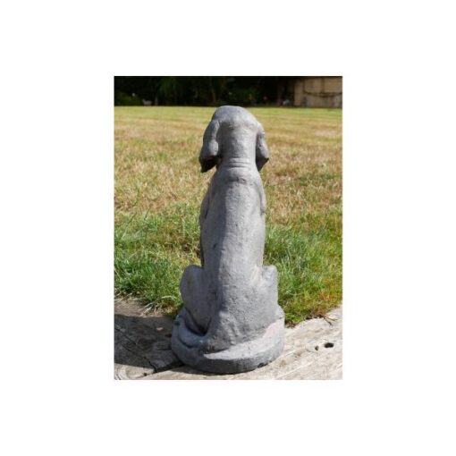 Sitting Dog D11118(5)