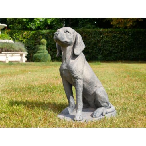 Sitting Dog D11118(6)