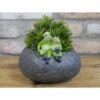 Small Frog Trough D9261 (2)