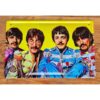 Beatles - Yellow - Faces HS644