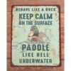 Behave Like a Duck HS652