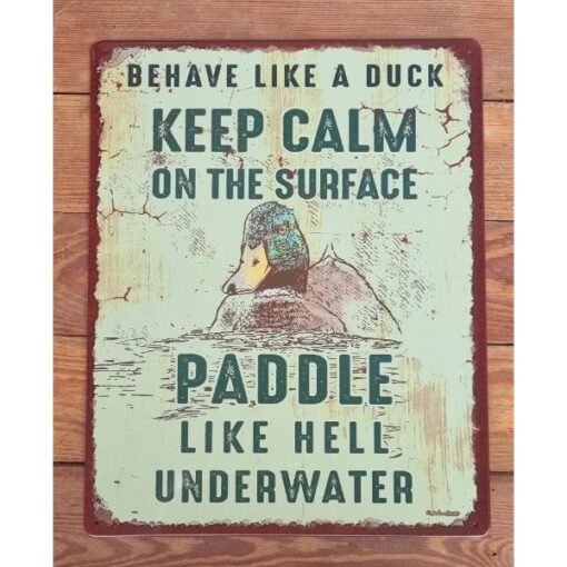 Behave Like a Duck HS652