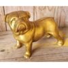 Bulldog - Brass KAS899 (1)