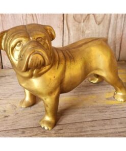 Bulldog - Brass KAS899 (1)