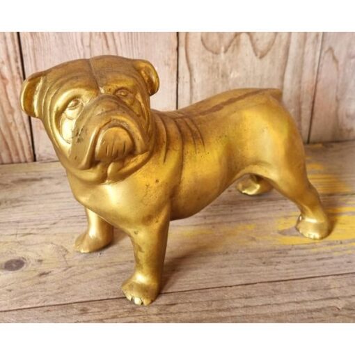 Bulldog - Brass KAS899 (1)