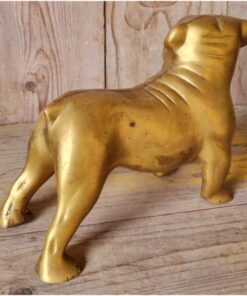 Bulldog - Brass KAS899 (2)