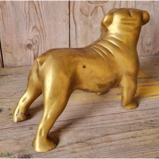 Bulldog - Brass KAS899 (2)