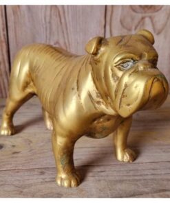 Bulldog - Brass KAS900 (1)