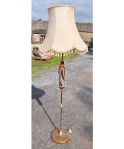 Floor Lamp KAS869 (1)