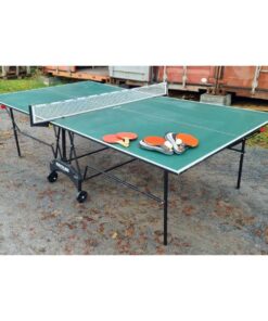 Table Tennis Table KAS905 (1)