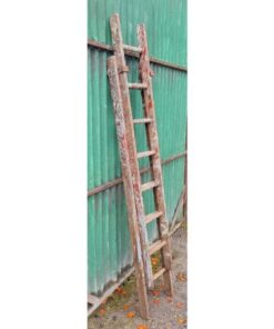 Extending Ladder Wooden KAS919 (1)