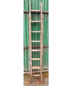 Extending Ladder Wooden KAS919 (2)