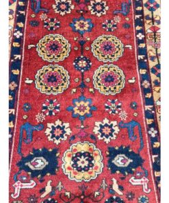 Shirvan KASRUG45 (3)