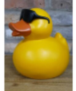 Cool Duck Yellow D11300 (1)