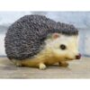Hedgehog D11299(4)