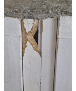 Shutter Pair KAS1163 (2)