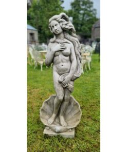 Birth of Venus LS013 (1)