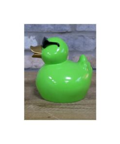 Cool Duck Green Small D11539 (1)