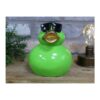 Cool Duck Green Small D11539 (3)