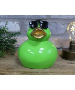 Cool Duck Green Small D11539 (3)