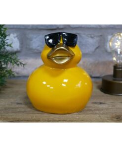 Cool Duck Yellow Small D11541 (1)
