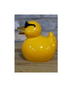 Cool Duck Yellow Small D11541 (3)
